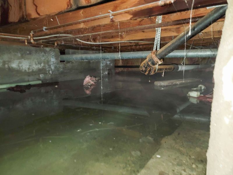 Basement Water Mitigation in Gilbert, AZ